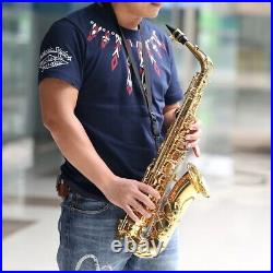 Golden Eb Alto Saxophone Sax 802 Woodwind Instrument with Carry D1M6