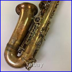 Gottsu Sepia VI Alto Sax Used Alto Saxophone