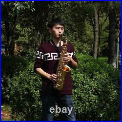 High Quality Alto Sax Saxophone + Mouthpiece + Gig Box + Cleaning Kit Gold J5T1