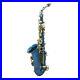 LADE_Professional_Brass_Alto_Saxophone_Sax_Musical_Wind_Instrument_Beginners_01_fk
