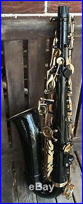 LA Sax Alto Saxophone with Gold Keys & accents, Mouthpiece & Original Hard Case