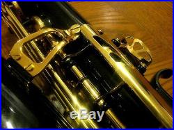 L. A. Sax Professional Alto Saxophone with Selmer C Star Mouthpiece, MSRP $2695