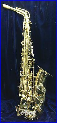 MAKE AN OFFER ON THIS BRAND NEW Selmer Prelude Alto Sax