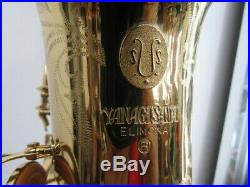 Near Mint YANAGISAWA Alto Sachs ELIMONA 800 Alto Sax Bronze Brass Japan YSYS2