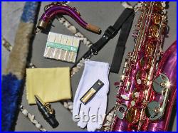 Pink Alto Sax. Brand New STERLING Eb Saxophone. Case. FREE Express Post