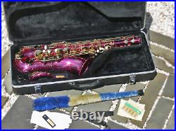 Pink Alto Sax. Brand New STERLING Eb Saxophone. Case. FREE Express Post