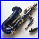 Professional_Blue_Gold_Eb_Alto_Saxophone_Sax_With_Case_Low_Bb_to_High_F_01_kfa
