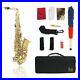 Professional_Eb_Alto_Sax_Saxophone_Learning_Paint_Gold_with_Case_Accessories_UK_01_eiyk