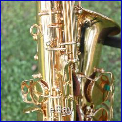 Professional Silver Gold Eb Alto Sax Saxophone with Accessories Kit+Case P6V6