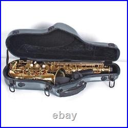 Protable Alto Saxophone Bag Gig Hardshell Case Alto Sax Instrument Pink