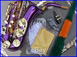 Purple Alto Sax Brand New STERLING Eb Saxophone Case and Accessories