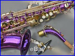 Purple Alto Sax Brand New STERLING Eb Saxophone Case and Accessories