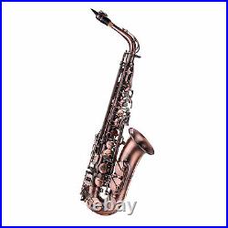 Red Bronze Bent Eb Alto Saxophone E-flat Sax Carved Pattern with Carry Case T9K9