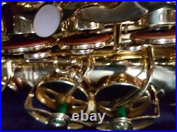 Roy Benson Alt / Alto Saxophone / Saxophone