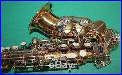 SAXOPHONE SOPRANO COURBE' Sib/Fa# NEW ORLEANS OR CLES NICKELE' BEC ACCESSOIRES