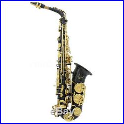 SLADE E-flat Alto Saxophone Sax Gold Silver Blue Green Purple Red +Care Kit