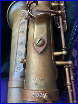 Saxophone Alto Sax