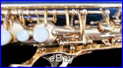 Selmer Super Action 80 copy alto sax by DC PRO &Yamaha cork grease list$2,998.00