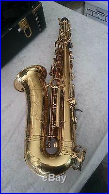 Selmer USA Alto Sax Model 162 AS100 with lots of extras ships in 24 hours