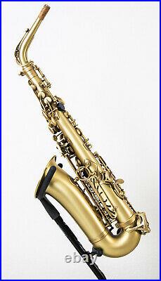 Selmer saxophone alto reference 54 sax in vintage mit Selmer Light Case