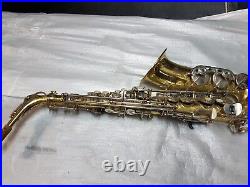 Sturn Alt / Alto Sax / Saxophone