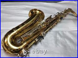 Sturn Alto / Alto Sax / Saxophone