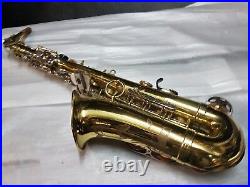 Sturn Alto / Alto Sax / Saxophone