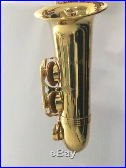 Trevor James Alto Sax The Horn Revolution excellent condition, plays beautifully