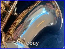 Trevor James Horn Classic II Alto Sax Outfit (3722G)
