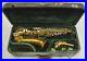 Used_As_Is_1936_Martin_Handcraft_Alto_Sax_searchlights_Skyline_Engraving_01_xuku