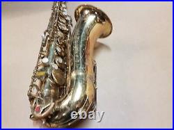 Vito Alt / Alto Sax / Saxophone
