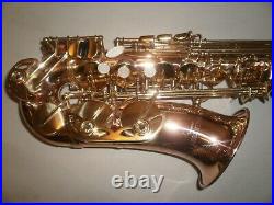 Walstein Bronze AS-P Alto Saxophone Sax ROCK/SKA/FUNK/Hi-NRG HORN serviced