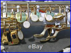 White Alto Sax Brand New STERLING Eb Saxophone Case and Accessories