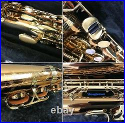 YANAGISAWA A-WO2 Bronze Brass Alto Sax with Hard Case / Made in Japan