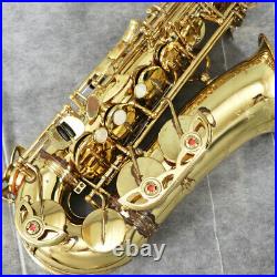 YANAGISAWA Alto A-900 Saxophone Sax With Haad Case Shoulder Strap Tested Used