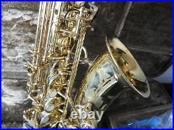 YANAGISAWA Alto SAX A-900 saxophone MAINTENANCE from japan Rank C