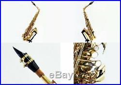 YANAGISAWA Alto Saxophone Sax A-900 A900 Overhauled Tested With Hard Case Ex++