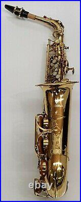 Yanagisawa A-500 Saxophone Alto Sax Gold Finish & Berkeley Case Full Outfit