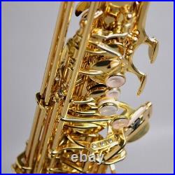 Yanagisawa A-WO10 AWO10 Alto Sax Brass heavy specification Lacquer finish NEW