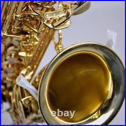 Yanagisawa A-WO10 AWO10 Alto Sax Brass heavy specification Lacquer finish NEW