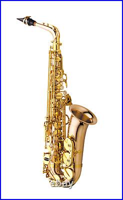 Yanagisawa A-WO2 Alto Sax Saxophone Bronze Brass Hard Case AWO2 Gold Eb Key NEW