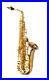 Yanagisawa_A_WO2_Alto_Sax_Saxophone_Bronze_Brass_Hard_Case_AWO2_Gold_Eb_Key_NEW_01_yp