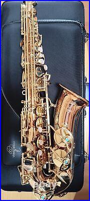 Yanagisawa Yany Alto sax A-WO2 After A-902 Bronze Made in Japan mint condition