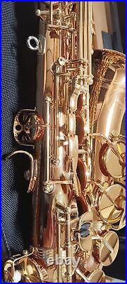 Yanagisawa Yany Alto sax A-WO2 After A-902 Bronze Made in Japan mint condition