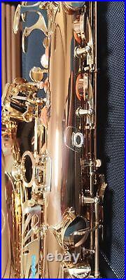 Yanagisawa Yany Alto sax A-WO2 After A-902 Bronze Made in Japan mint condition