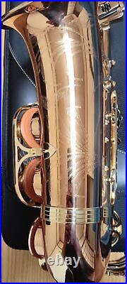 Yanagisawa Yany Alto sax A-WO2 After A-902 Bronze Made in Japan mint condition