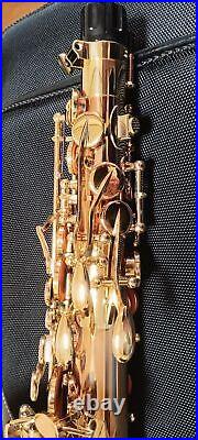 Yanagisawa Yany Alto sax A-WO2 After A-902 Bronze Made in Japan mint condition