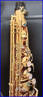 Yanagisawa Yany Alto sax A-WO2 After A-902 Bronze Made in Japan mint condition