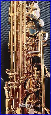 Yanagisawa Yany Alto sax A-WO2 After A-902 Bronze Made in Japan mint condition