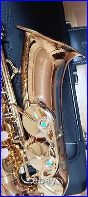 Yanagisawa Yany Alto sax A-WO2 After A-902 Bronze Made in Japan mint condition